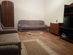 Apartment on Alekseeva 22